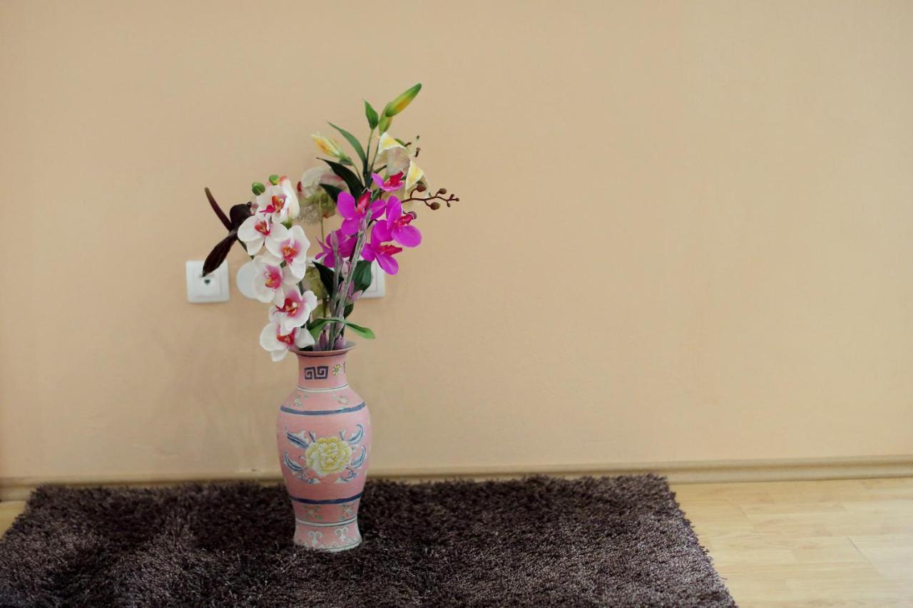 Apartmani Jagoda 比比涅 外观 照片
